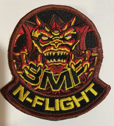 Pilot Training BMF N Flight